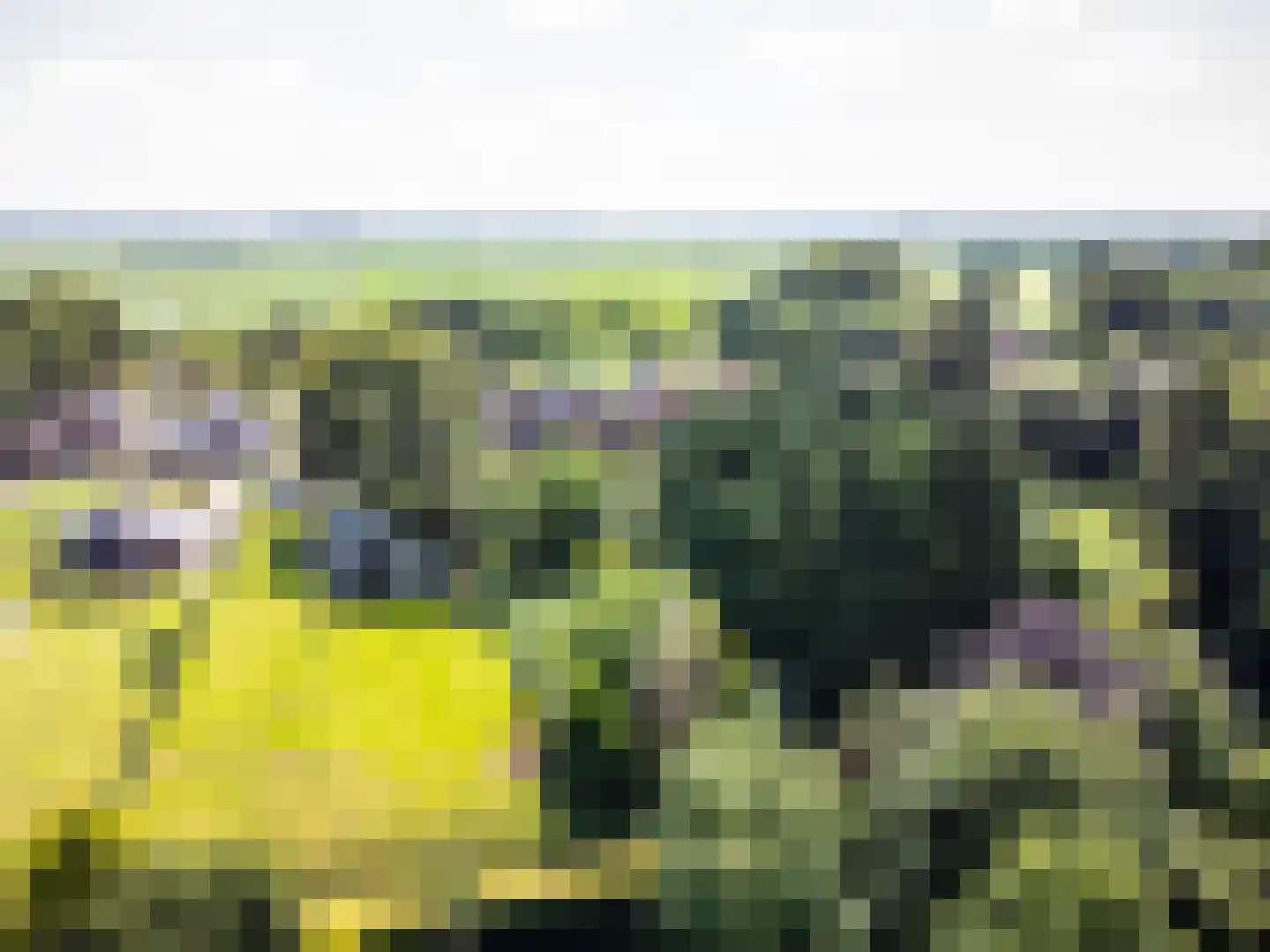 Zuiderdiep 57 Valthermond thumbnail 89