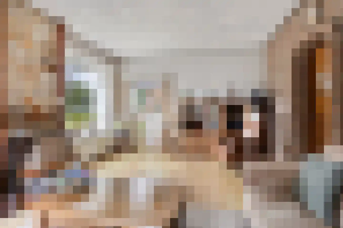 Zuiderdiep 579 Nieuw-Buinen thumbnail 13