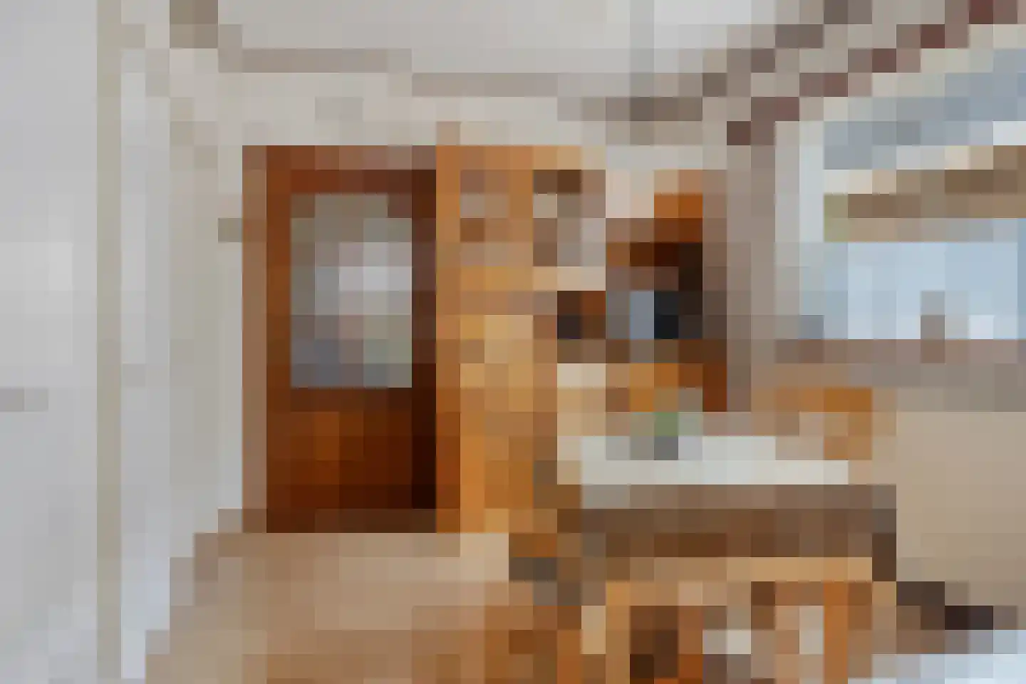 Zuiderdiep 579 Nieuw-Buinen thumbnail 16
