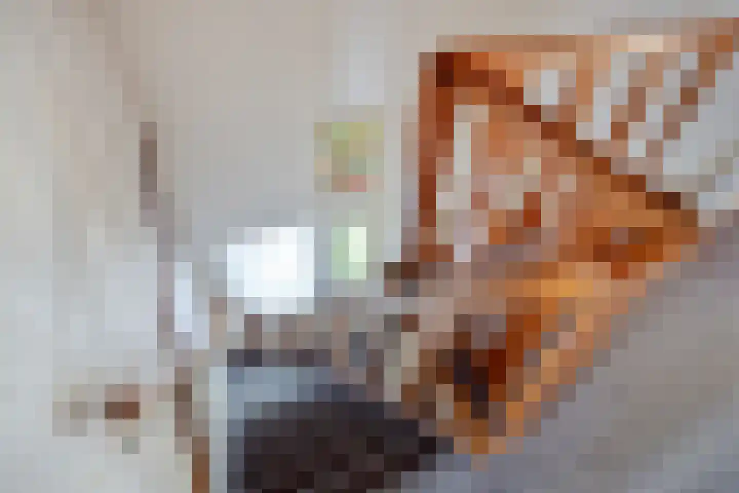 Zuiderdiep 579 Nieuw-Buinen thumbnail 24