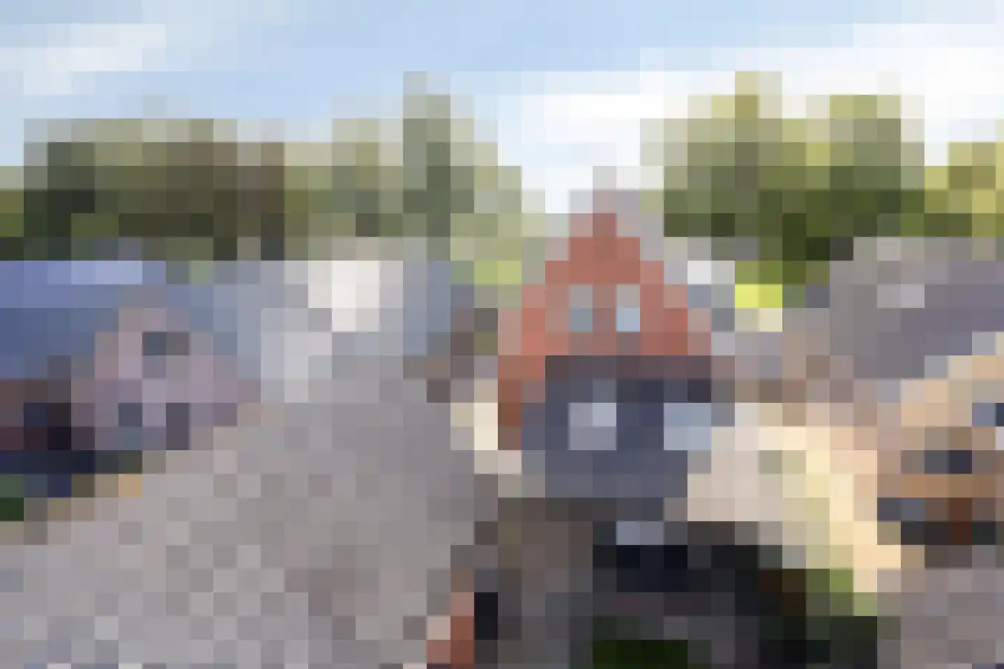 Zuiderdiep 579 Nieuw-Buinen thumbnail 38