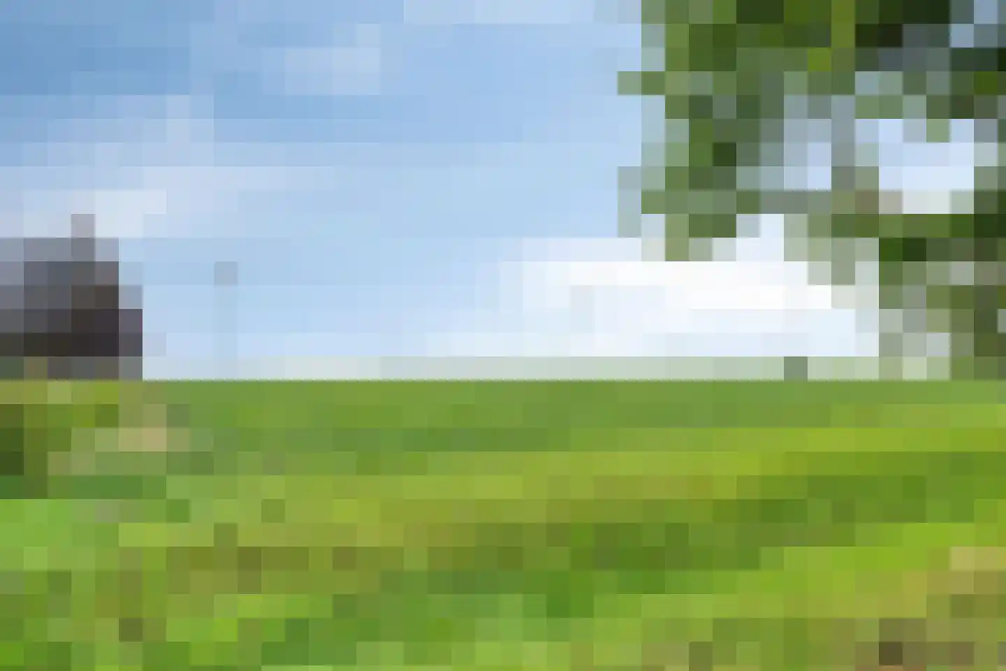 Zuiderdiep 579 Nieuw-Buinen thumbnail 44