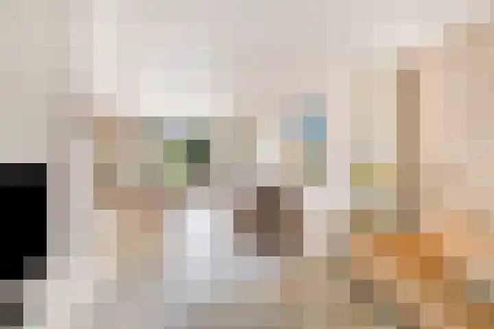 Zuiderdiep 6 Deurne thumbnail 11