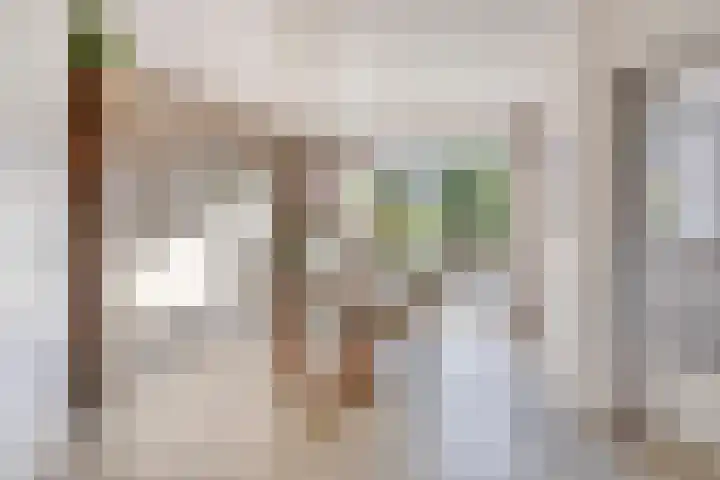 Zuiderdiep 6 Deurne thumbnail 12