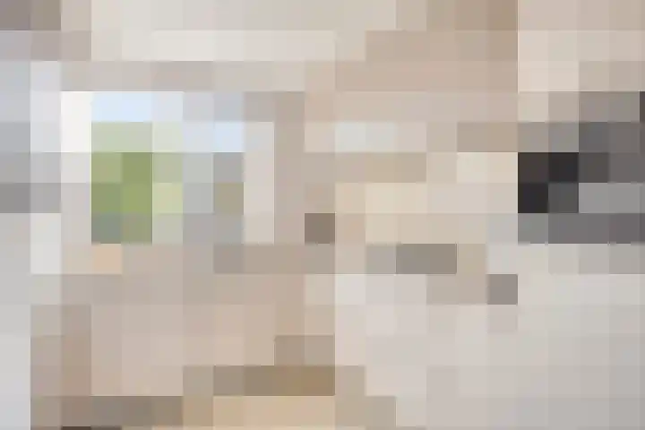 Zuiderdiep 6 Deurne thumbnail 14
