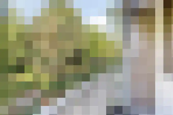 Zuiderdiep 6 Deurne thumbnail 25