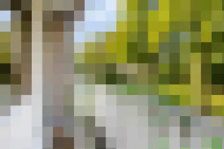Zuiderdiep 6 Deurne thumbnail 26