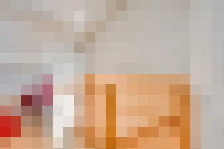 Zuiderdiep 6 Deurne thumbnail 30