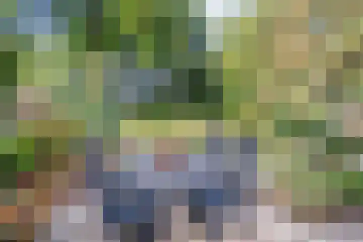 Zuiderdiep 6 Deurne thumbnail 33