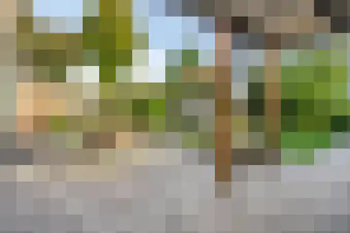 Zuiderdiep 6 Deurne thumbnail 34