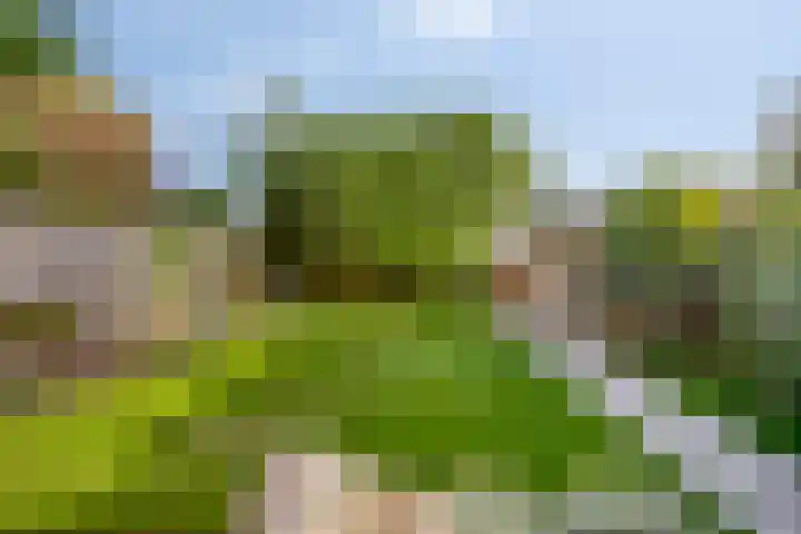Zuiderdiep 6 Deurne thumbnail 35