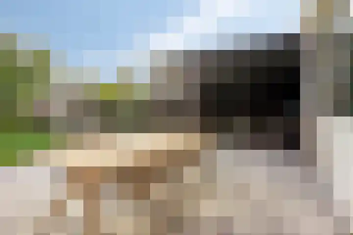 Zuiderdiep 6 Deurne thumbnail 36