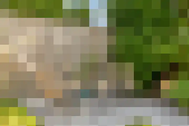 Zuiderdiep 6 Deurne thumbnail 38