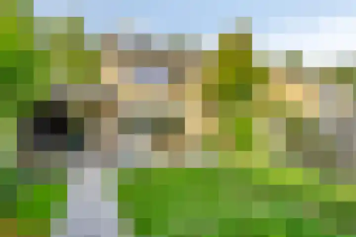 Zuiderdiep 6 Deurne thumbnail 39