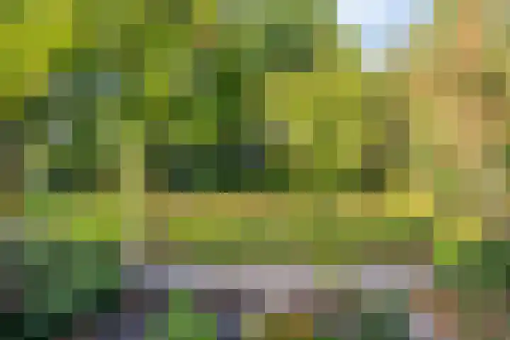 Zuiderdiep 6 Deurne thumbnail 40