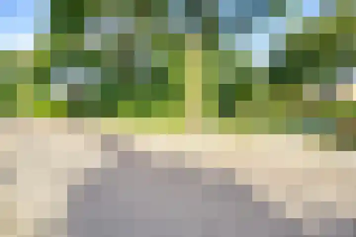 Zuiderdiep 6 Deurne thumbnail 41