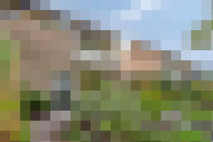 Zuiderdiep 6 Deurne thumbnail 42