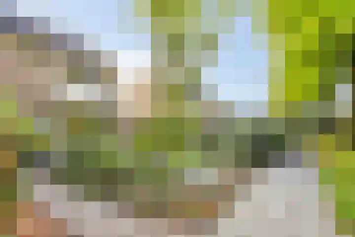 Zuiderdiep 6 Deurne thumbnail 43