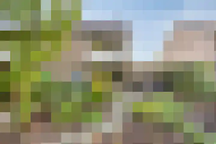 Zuiderdiep 6 Deurne thumbnail 6