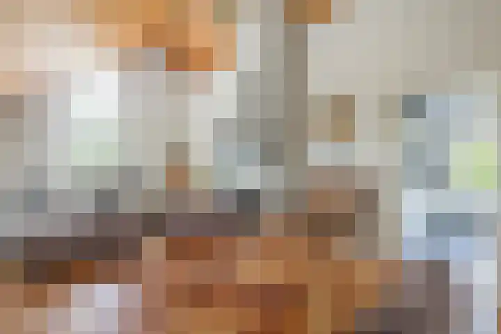 Zuiderdiep 67 A Drouwenermond thumbnail 15