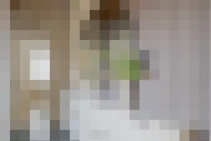 Zuiderdiep 67 A Drouwenermond thumbnail 21