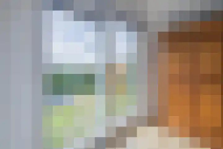 Zuiderdiep 67 A Drouwenermond thumbnail 22