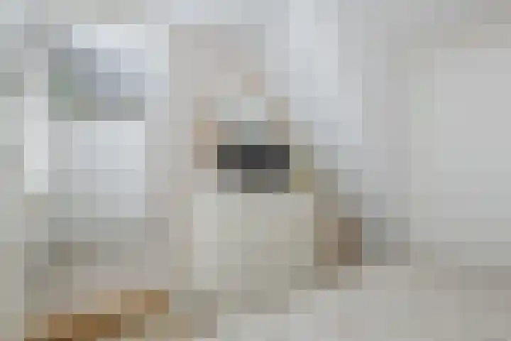 Zuiderdiep 67 A Drouwenermond thumbnail 32