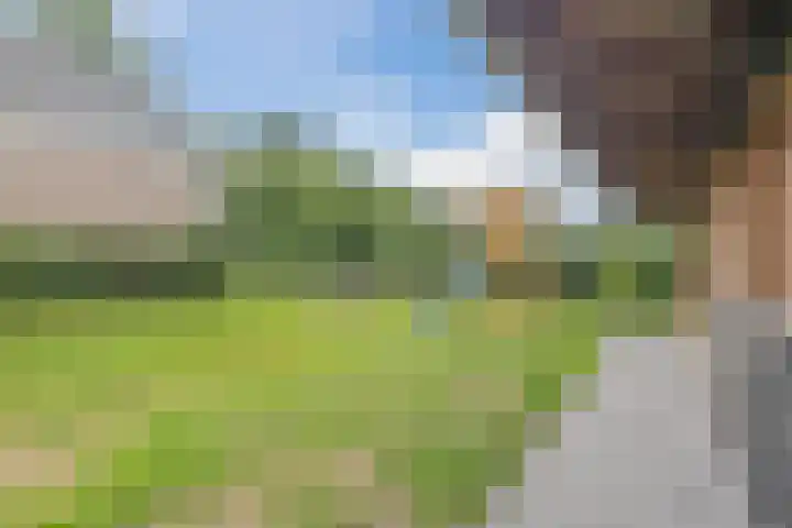 Zuiderdiep 67 A Drouwenermond thumbnail 41