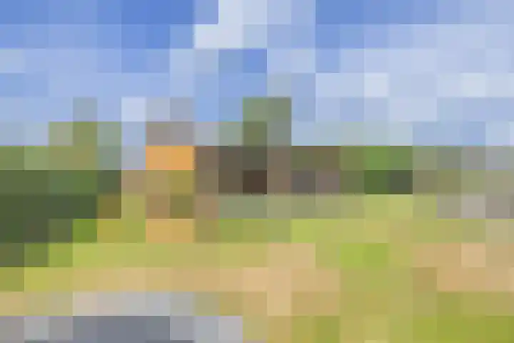 Zuiderdiep 67 A Drouwenermond thumbnail 43