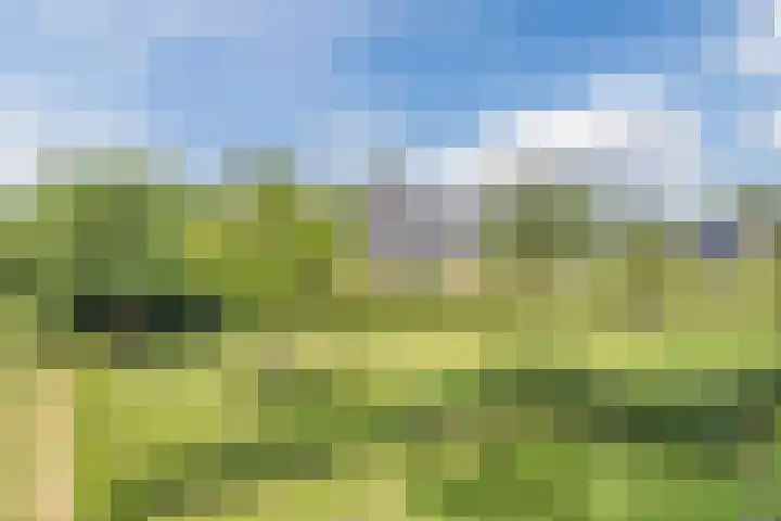 Zuiderdiep 67 A Drouwenermond thumbnail 45