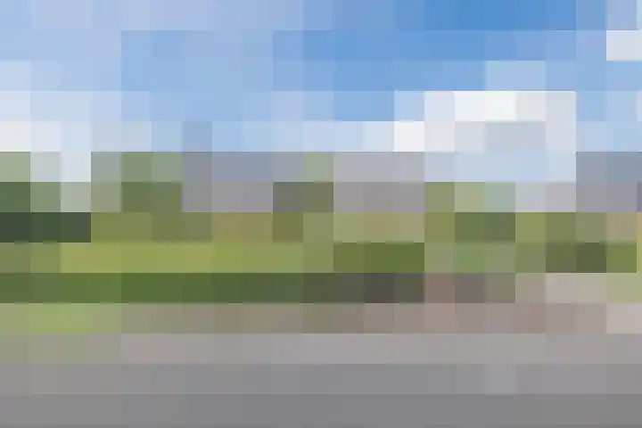 Zuiderdiep 67 A Drouwenermond thumbnail 46