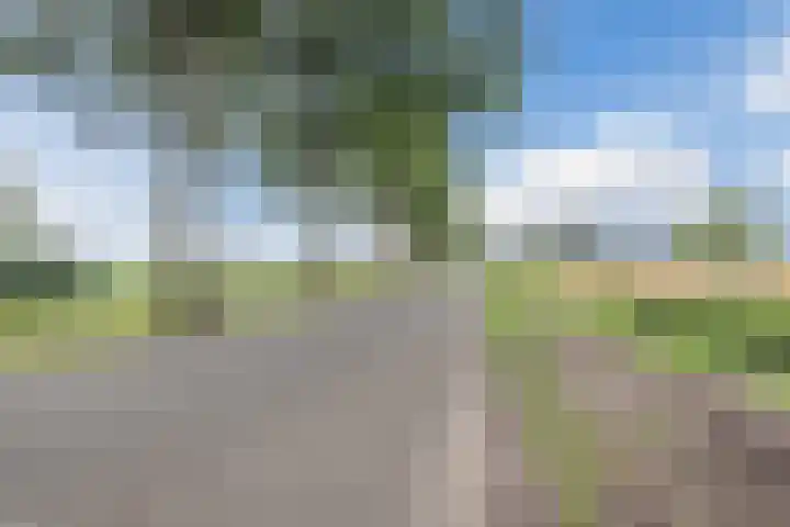 Zuiderdiep 67 A Drouwenermond thumbnail 47