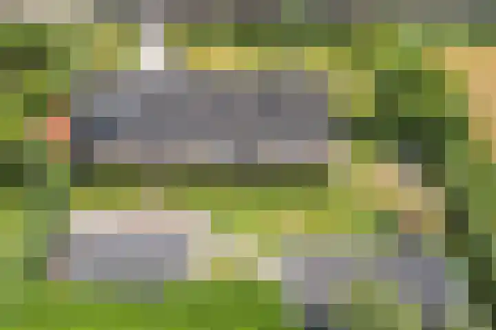 Zuiderdiep 67 A Drouwenermond thumbnail 49