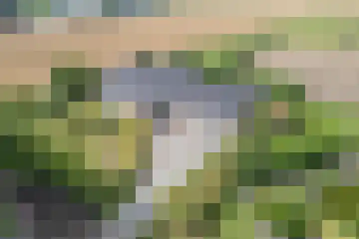 Zuiderdiep 67 A Drouwenermond thumbnail 50