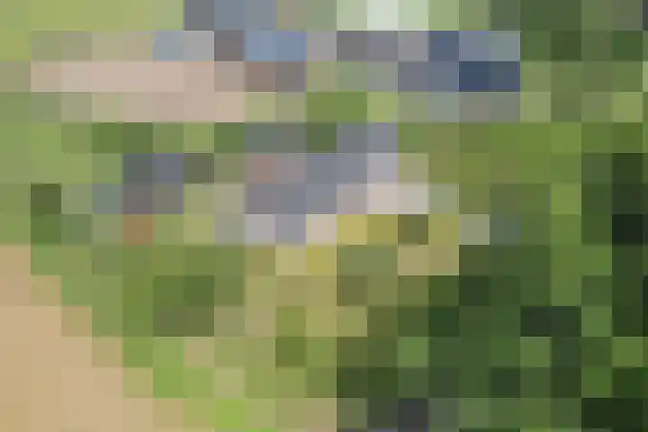 Zuiderdiep 67 A Drouwenermond thumbnail 51