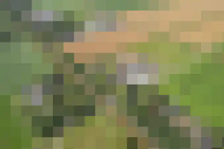 Zuiderdiep 67 A Drouwenermond thumbnail 52