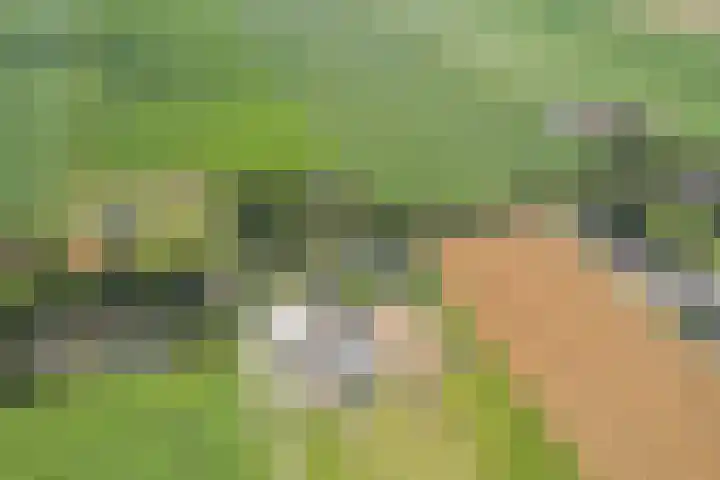 Zuiderdiep 67 A Drouwenermond thumbnail 53