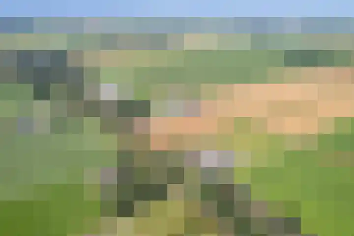 Zuiderdiep 67 A Drouwenermond thumbnail 54