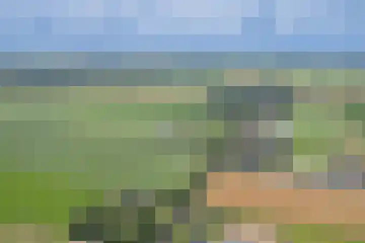 Zuiderdiep 67 A Drouwenermond thumbnail 55