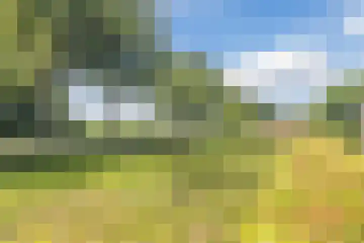 Zuiderdiep 67 A Drouwenermond thumbnail 56