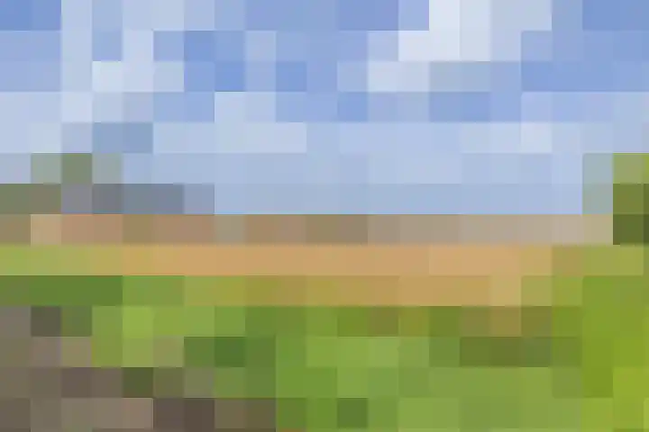 Zuiderdiep 67 A Drouwenermond thumbnail 57