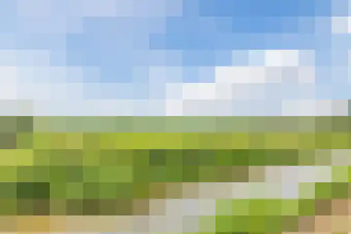 Zuiderdiep 67 A Drouwenermond thumbnail 58