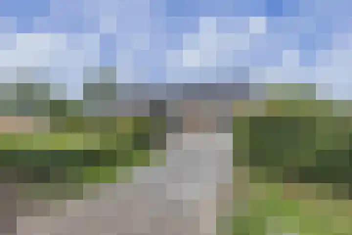 Zuiderdiep 67 A Drouwenermond thumbnail 59