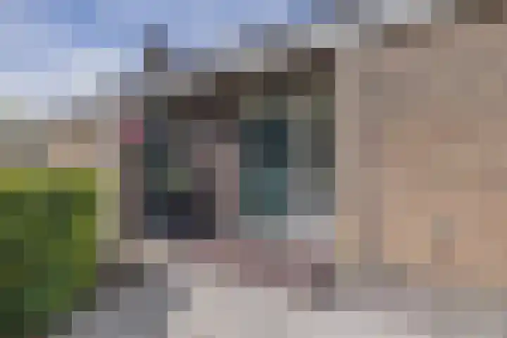 Zuiderdiep 67 A Drouwenermond thumbnail 6