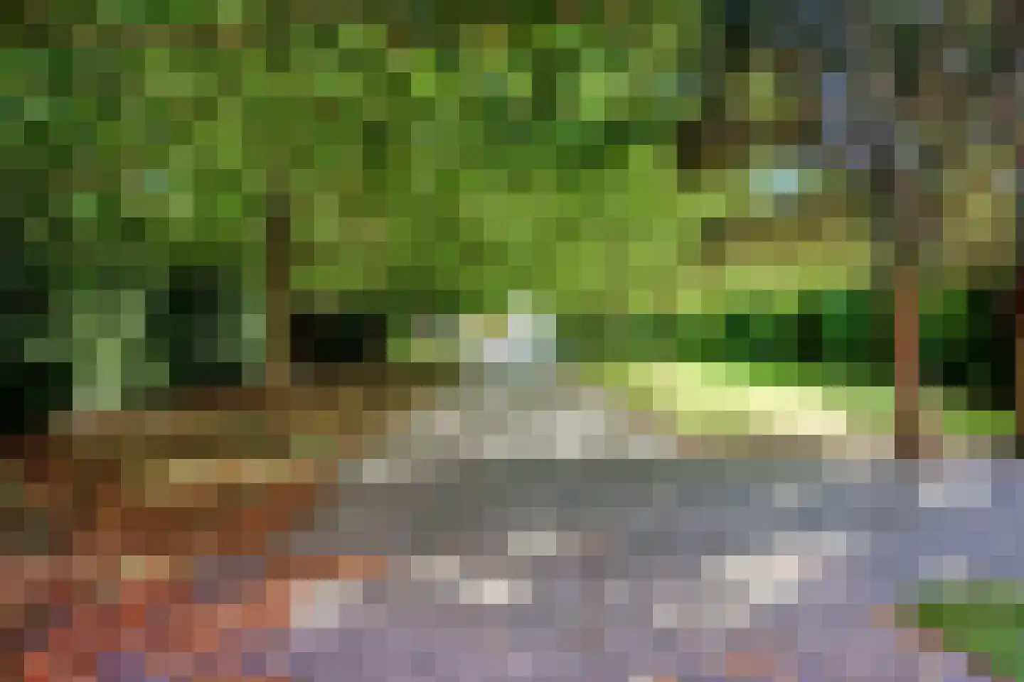 Zuiderdiep 71 Drouwenermond thumbnail 10