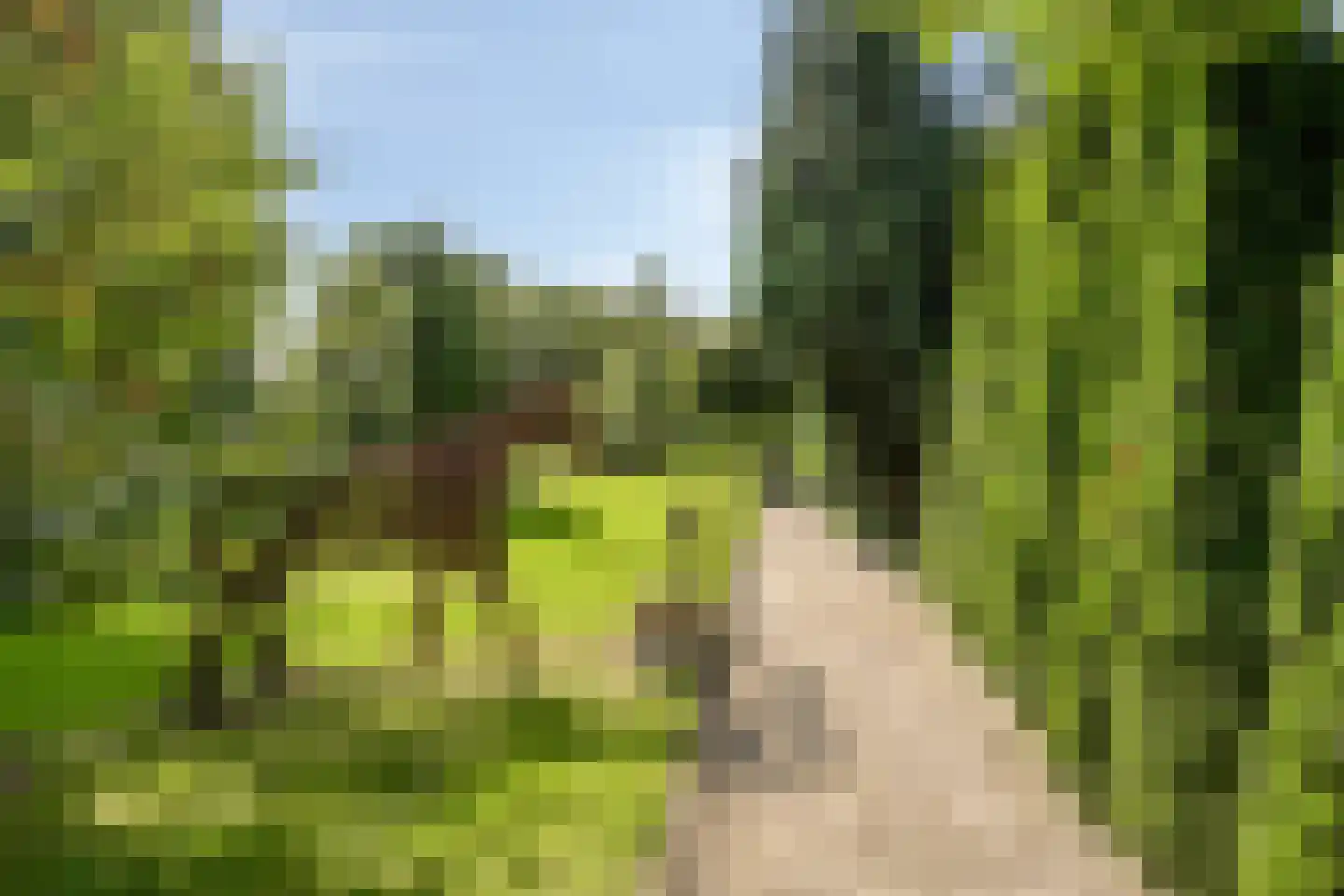 Zuiderdiep 71 Drouwenermond thumbnail 11