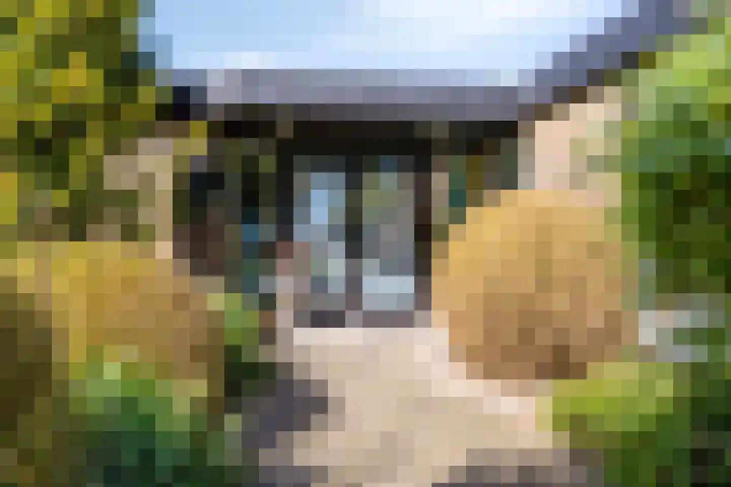 Zuiderdiep 71 Drouwenermond thumbnail 12
