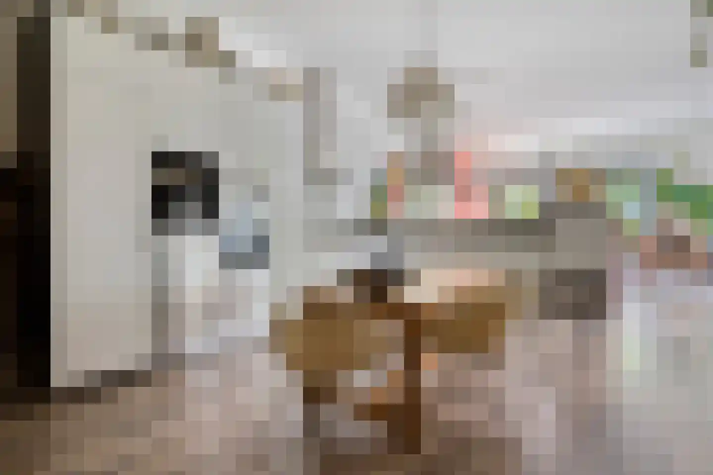 Zuiderdiep 71 Drouwenermond thumbnail 22