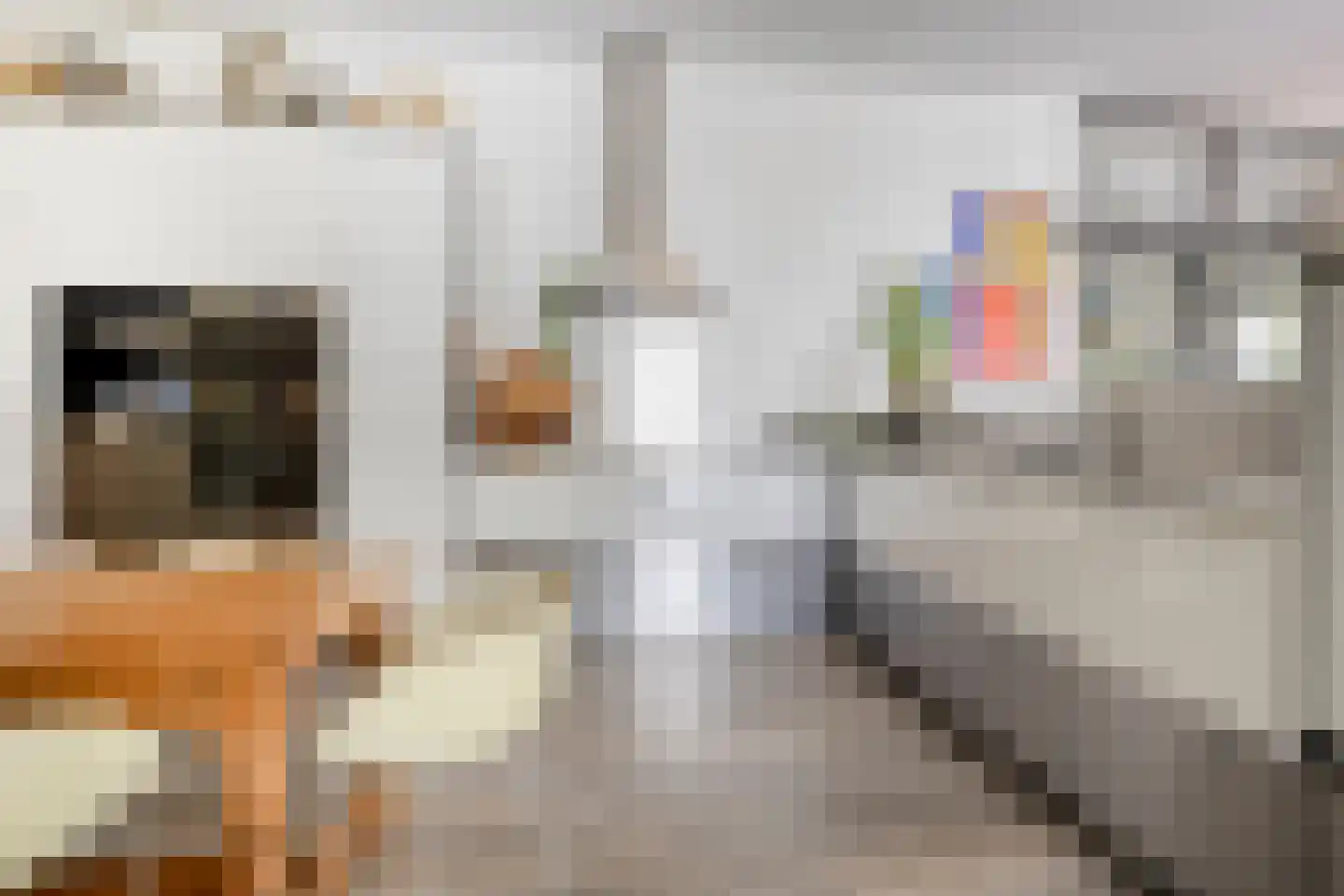 Zuiderdiep 71 Drouwenermond thumbnail 23