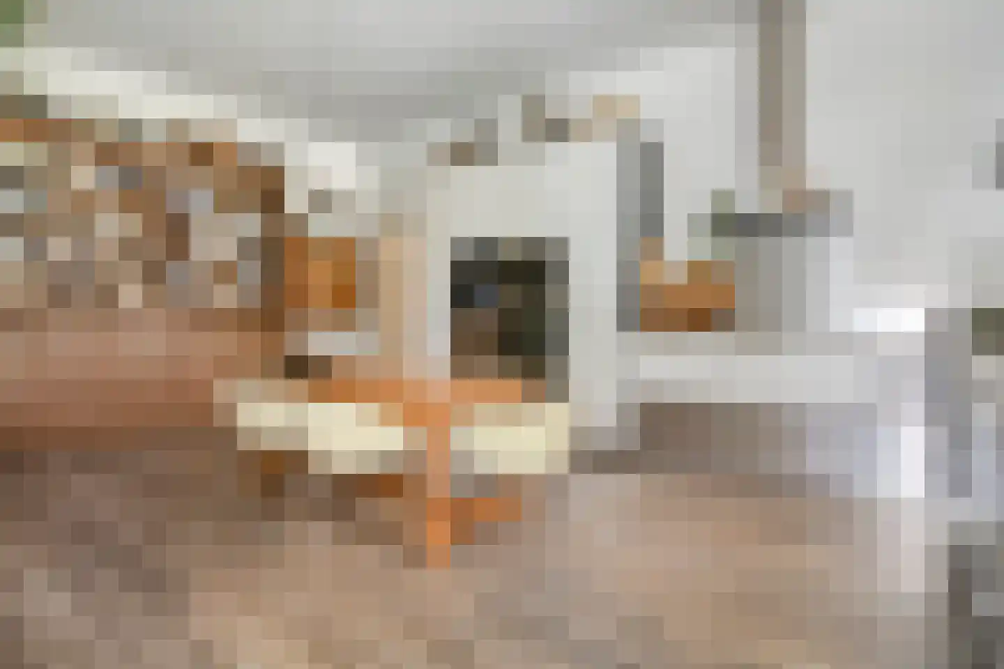 Zuiderdiep 71 Drouwenermond thumbnail 24